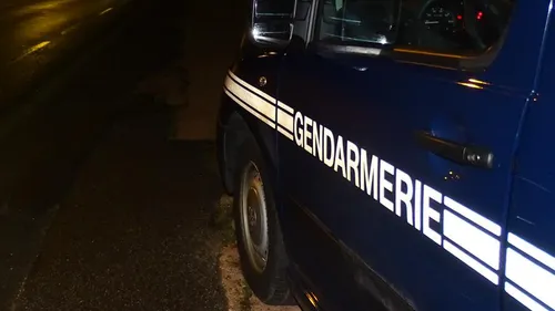 Nuit du nouvel an en Sarthe : 21 permis confisqués